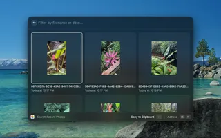 Apple Photos Raycast Extension